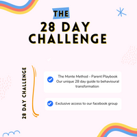 The Monte Method - 28 Day Programme
